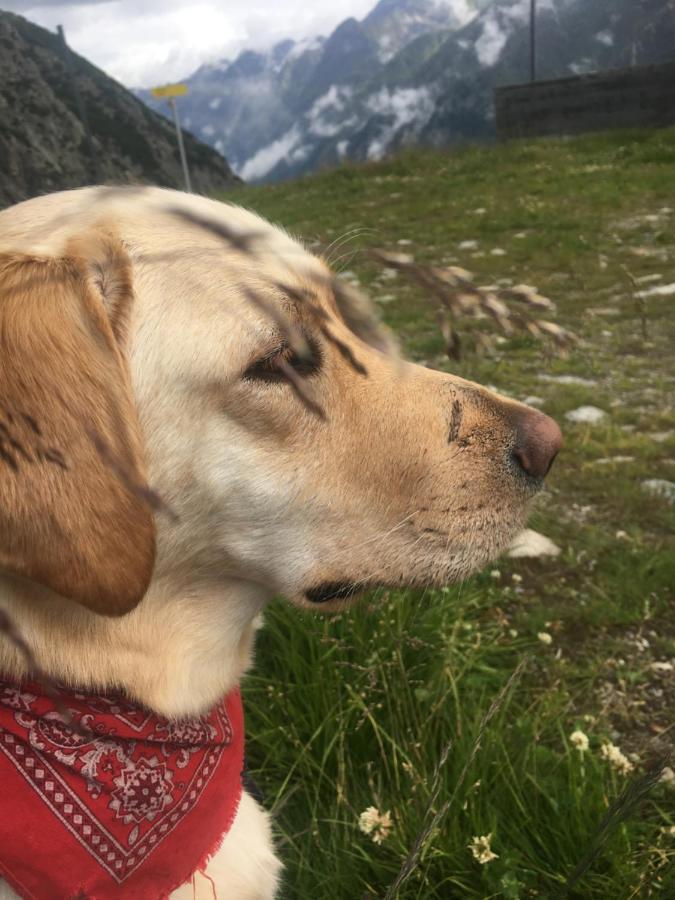 Pension Alpin Mandarfen Bagian luar foto